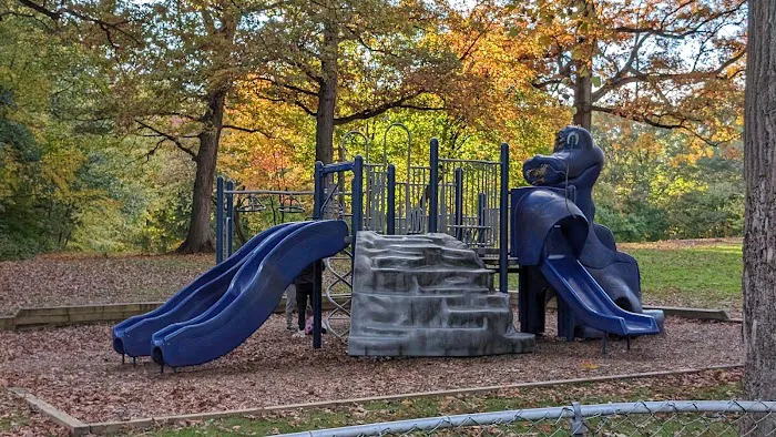 Baker Park Picture 10