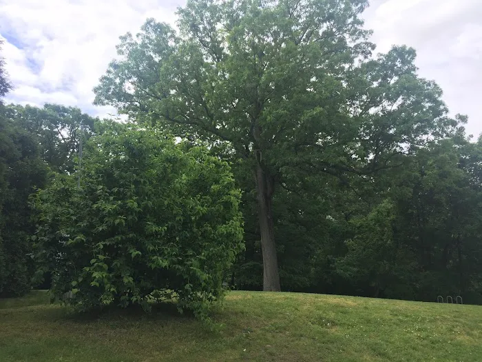 Baker Park Picture 6
