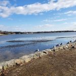 Gus Edson Park