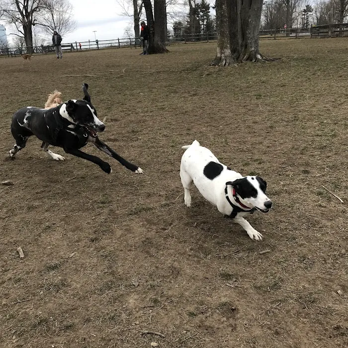 Spencer's Run Picture 8