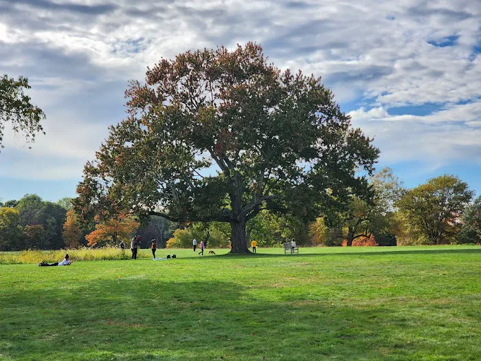 Waveny Park Picture 3