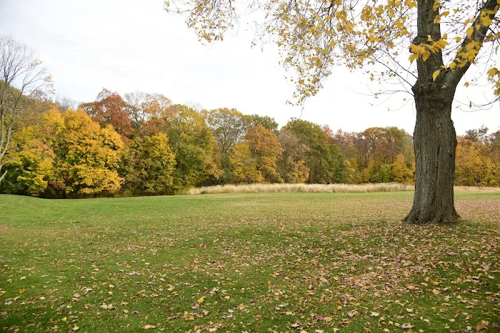 Waveny Park Picture 7