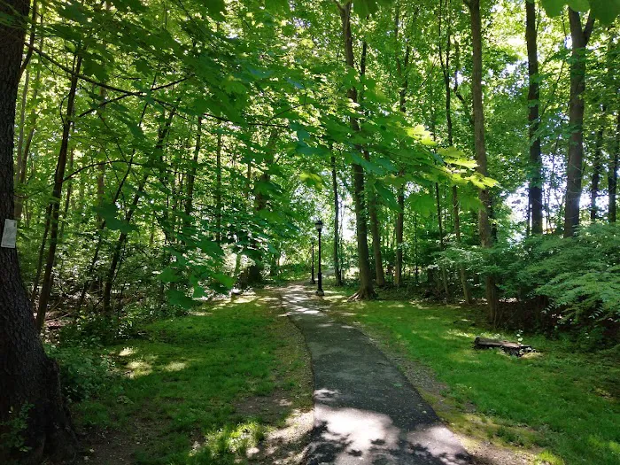 Tilley Pond Park Picture 4