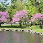Tilley Pond Park