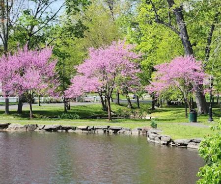 Tilley Pond Park