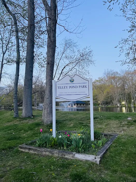 Tilley Pond Park Picture 2