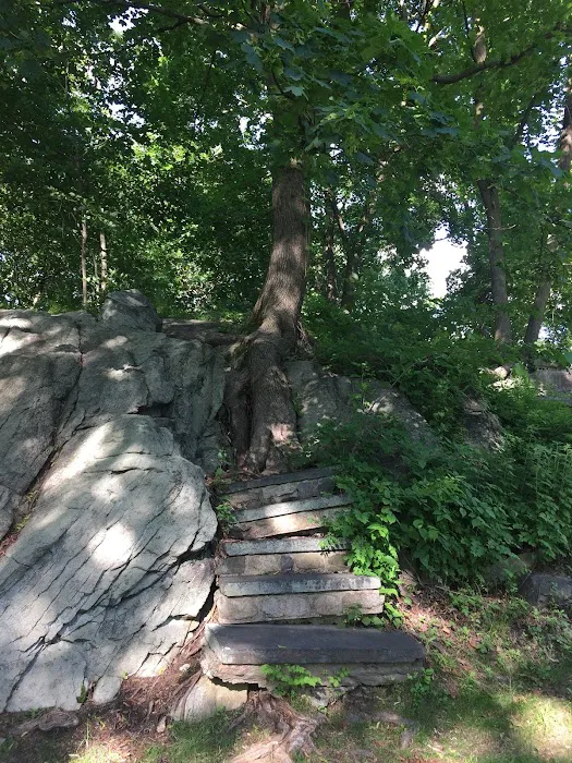 Tilley Pond Park Picture 8