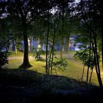 Tilley Park