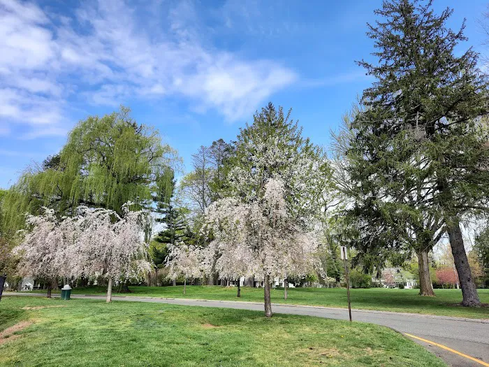 Cherry Lawn Park Picture 2