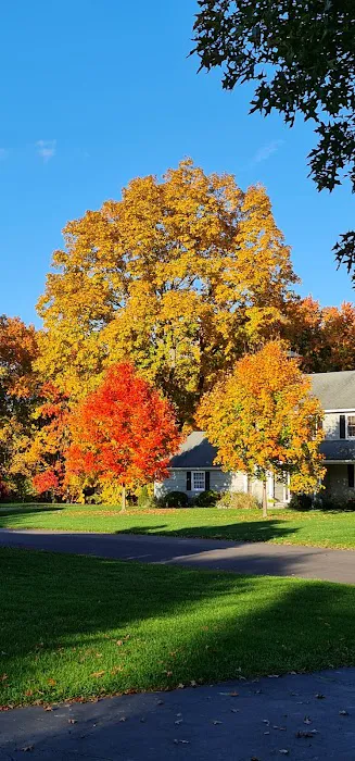 Cherry Lawn Park Picture 3