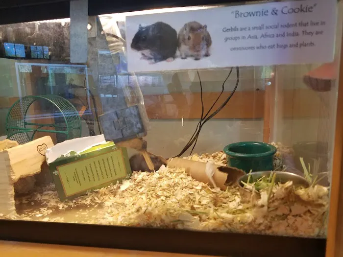 Darien Nature Center Picture 10