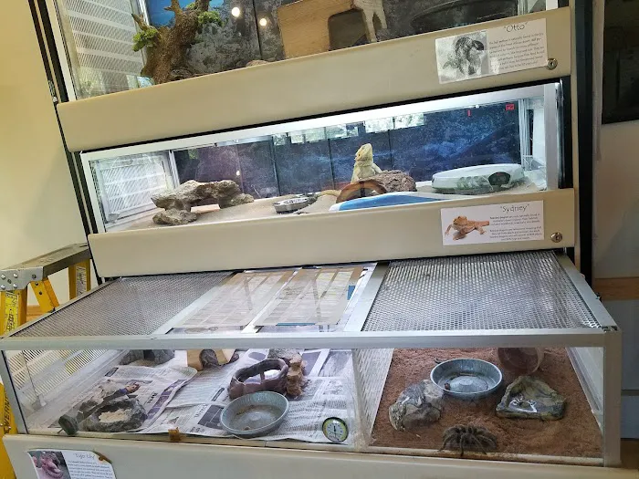 Darien Nature Center Picture 5