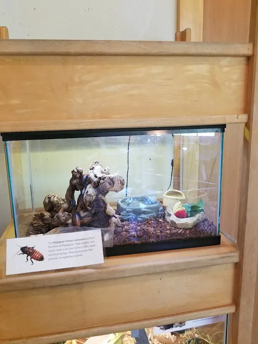 Darien Nature Center Picture 3