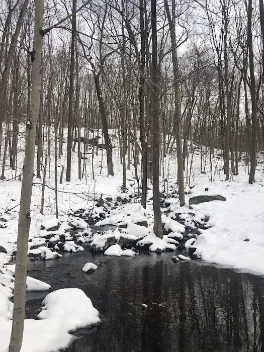 Ward Pound Ridge Reservation Picture 8