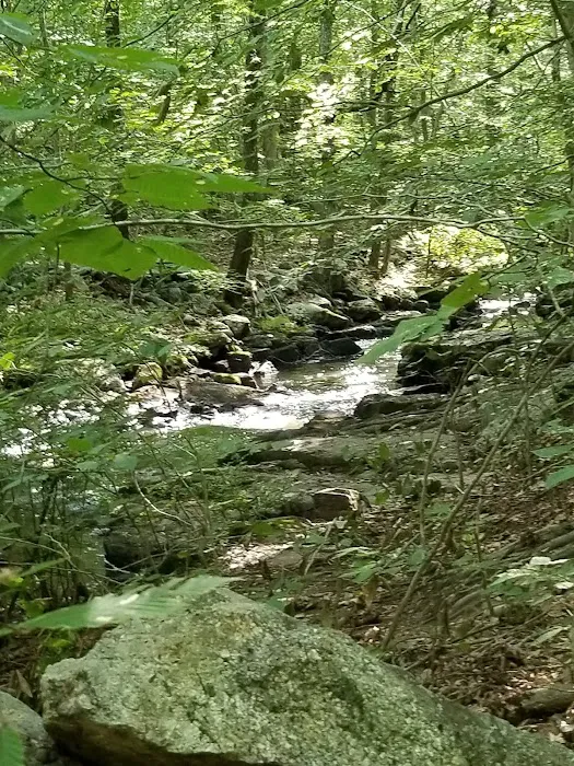 Ward Pound Ridge Reservation Picture 9