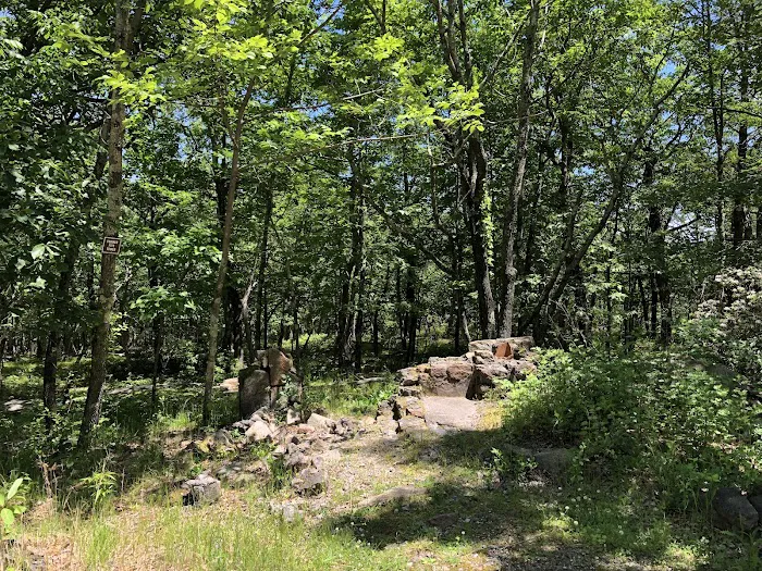Ward Pound Ridge Reservation Picture 5