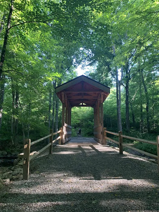 Ward Pound Ridge Reservation Picture 10
