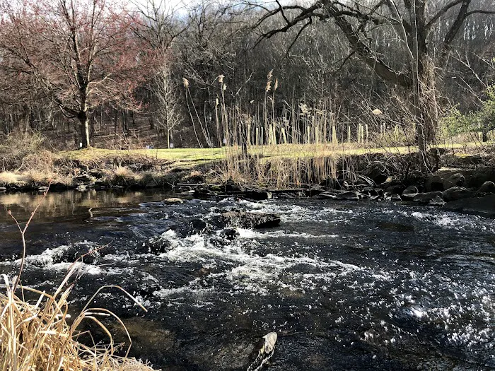 Ward Pound Ridge Reservation Picture 6