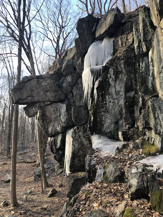 Ward Pound Ridge Reservation Picture 7