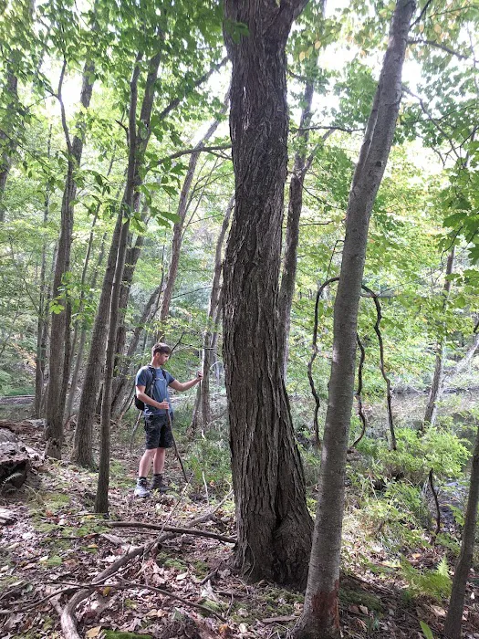 Mount Holly Sanctuary Picture 4