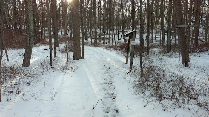 Mount Holly Sanctuary Picture 1