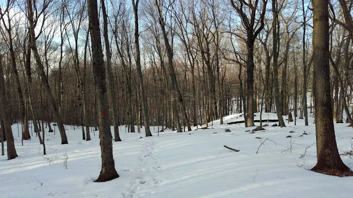 Mount Holly Sanctuary Picture 2