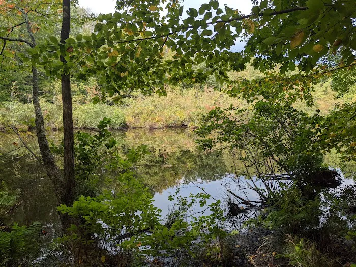 Mount Holly Sanctuary Picture 5