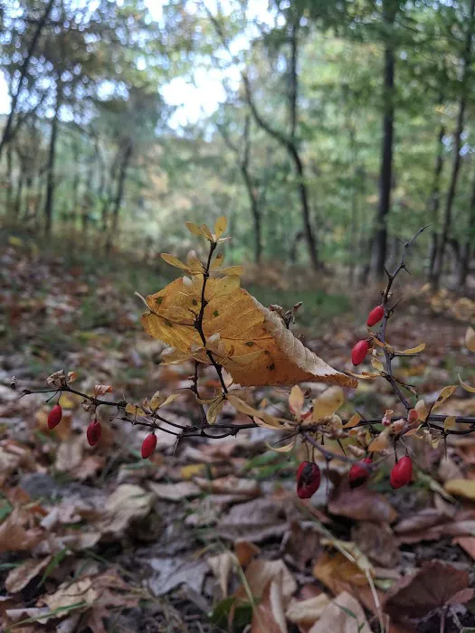 Mount Holly Sanctuary Picture 3