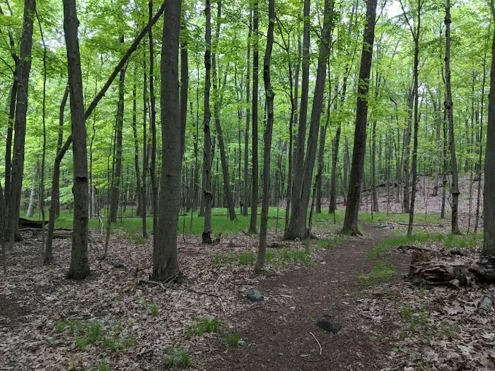 Mount Holly Sanctuary Picture 10