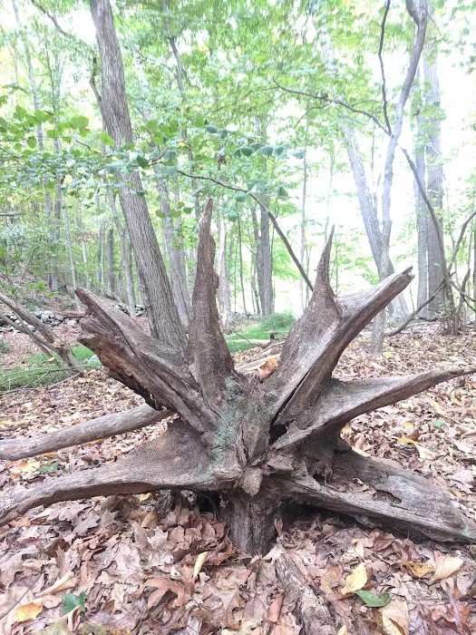 Mount Holly Sanctuary Picture 8