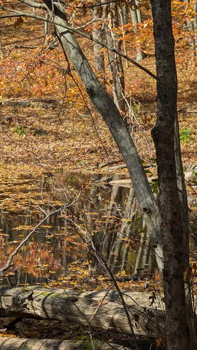Marian Yarrow Preserve Picture 2