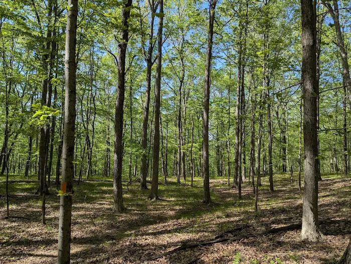 Marian Yarrow Preserve Picture 9