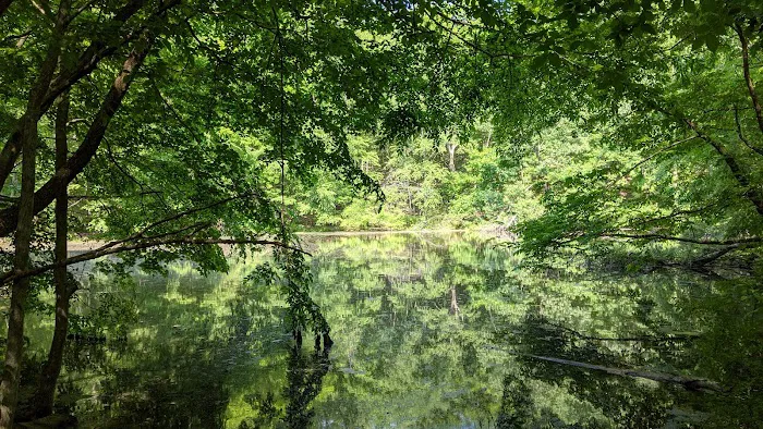 Marian Yarrow Preserve Picture 4