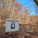 Marian Yarrow Preserve
