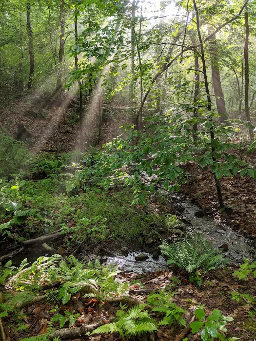 Marian Yarrow Preserve Picture 8