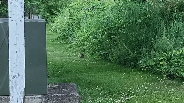 Fox Valley Park Picture 3