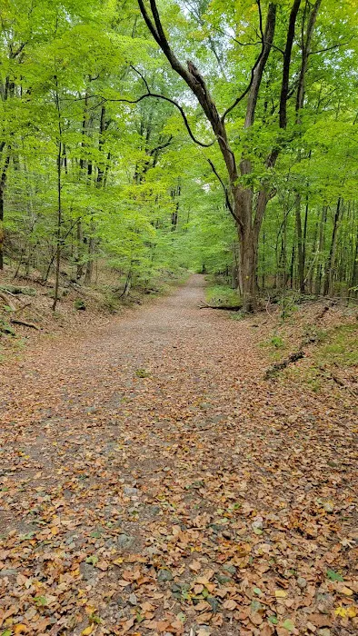 Fox Valley Park Picture 5