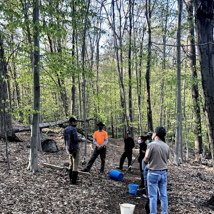 Mount Holly Nature Preserve Picture 10