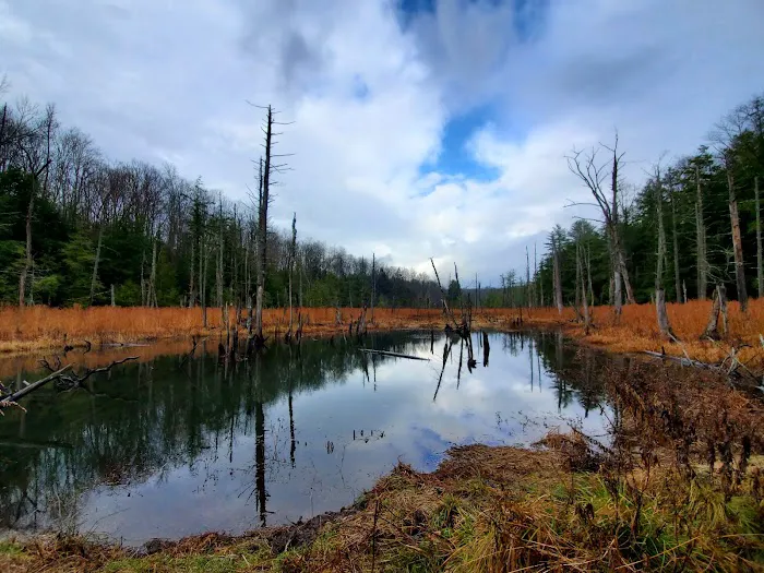 Muscoot Reservoir Recreation Area Picture 8