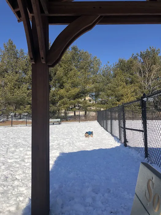 Somers Dog Park Picture 2