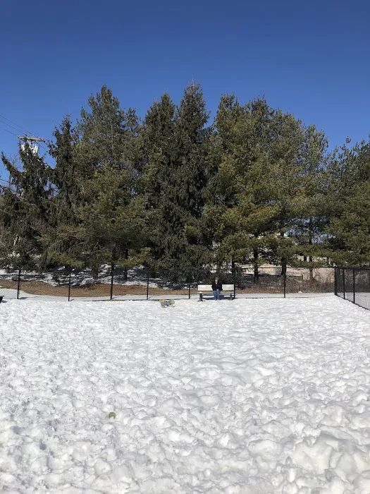 Somers Dog Park Picture 6