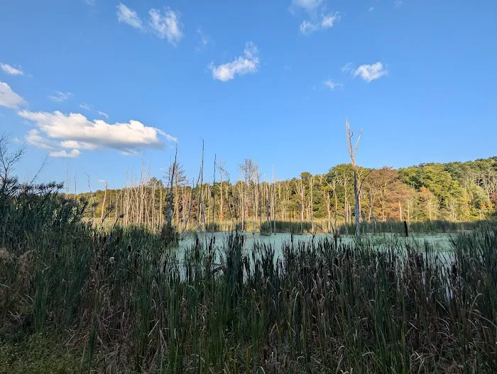 Angle Fly Preserve Picture 10