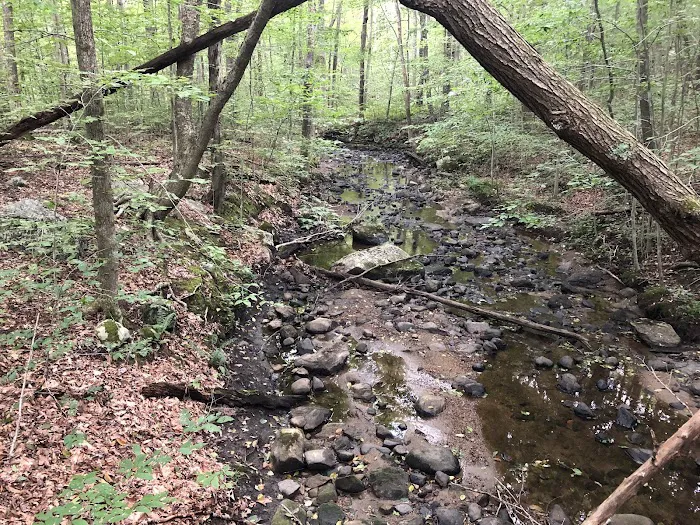 Angle Fly Preserve Picture 7