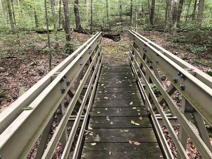 Angle Fly Preserve Picture 3
