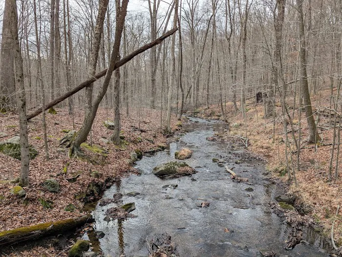 Angle Fly Preserve Picture 8