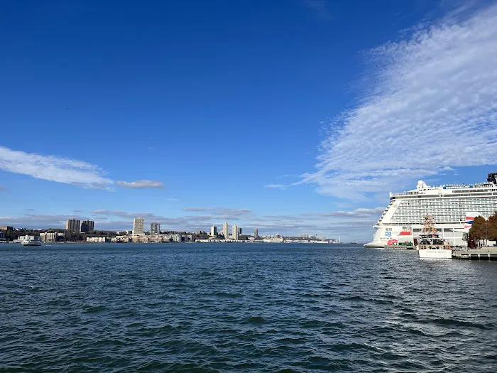 Pier 84 at Hudson River Park Picture 4