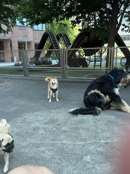 Silver Towers Dog park Picture 2