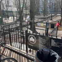 Bellevue South Park Dog Run ico
