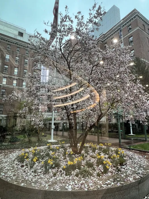 Bellevue Sobriety Garden Picture 10