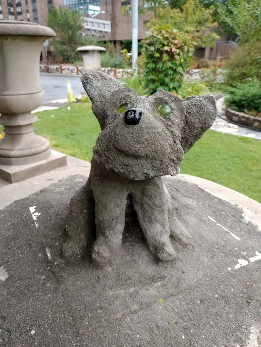 Bellevue Sobriety Garden Picture 2